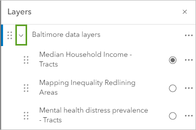 Expanded group layer in the Layers pane