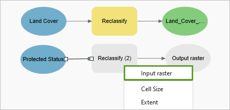 Input raster option