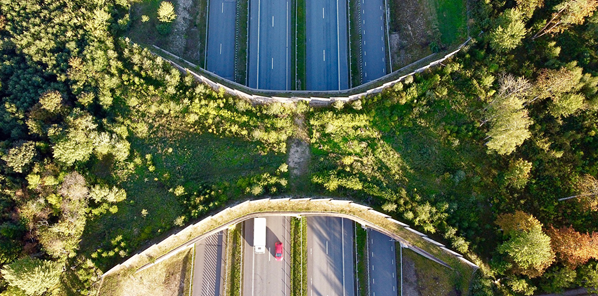 Wildlife overpass