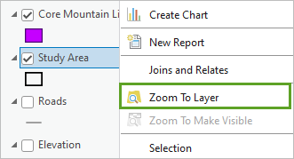 Zoom To Layer menu option