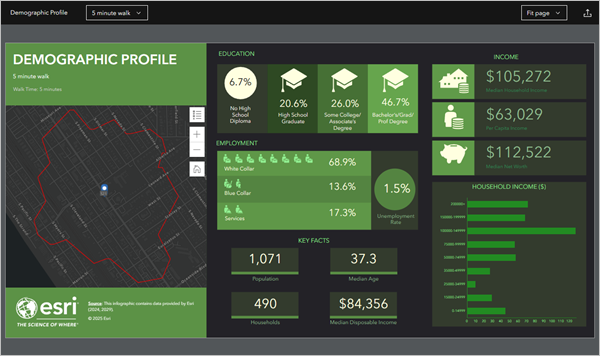 Infographic with demographic profile