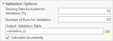 Validation Options section