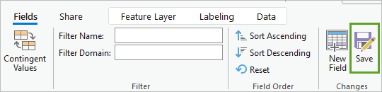 Save button in the Changes group on the Fields tab