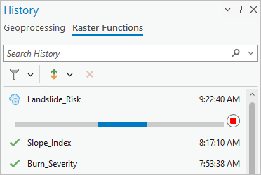 The Raster Functions tab in the History pane