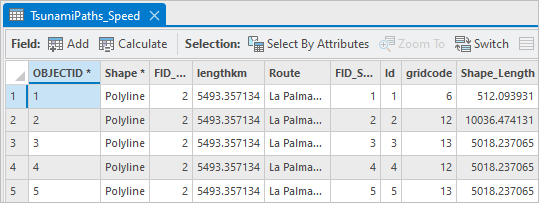 Shape_Length and gridcode attributes in the attribute table