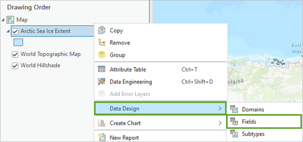 Fields option within the Data Design menu