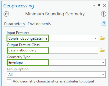 Parameters set for the Minimum Bounding Geometry tool pane