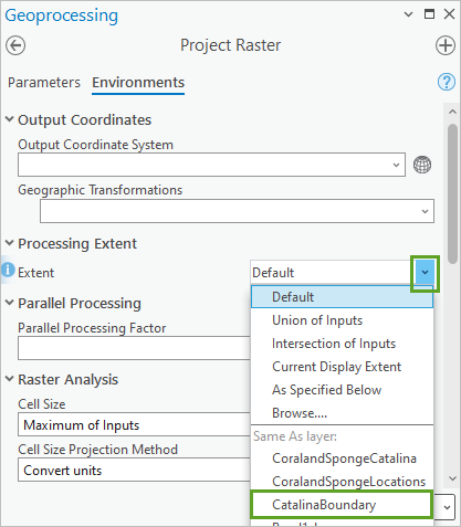 Extent set to CatalinaBoundary under Processing Extent in the Project Raster tool pane
