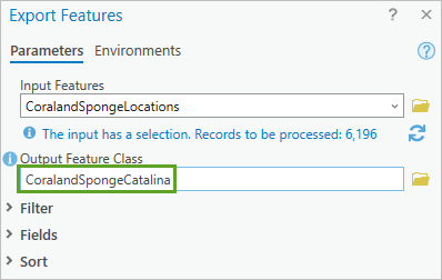 Output Feature Class set in the Export Features window.