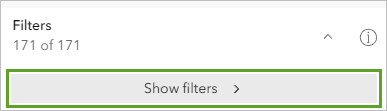 Show filters button