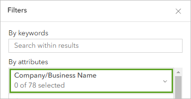 Company/Business Name filter attribute