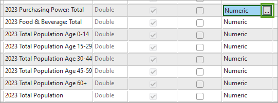 Determine display formatting for numeric field types button