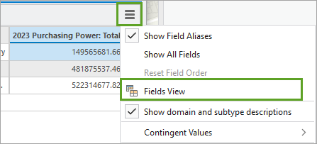 Fields View option