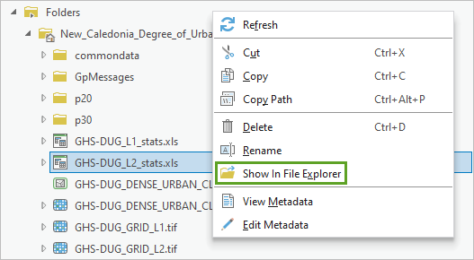 Show In File Explorer option