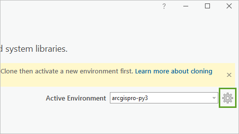 Click the settings button for the Active Environment.