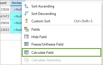 Calculate Field option