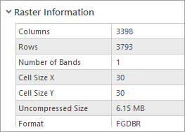 Raster Information section