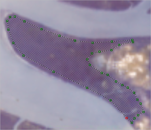 Digitizing an area of mangroves