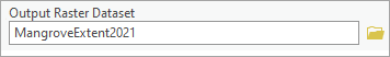 Output Raster Dataset parameter