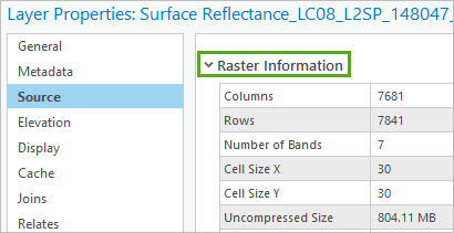 Raster Cell Size