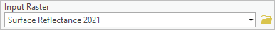 Input Raster parameter