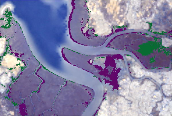 Areas where mangrove coverage has increased and decreased