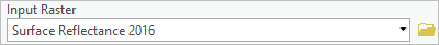 Input Raster parameter