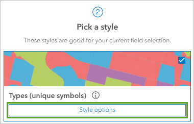 Style options button