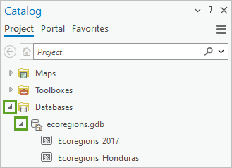 Expanders in the Catalog pane