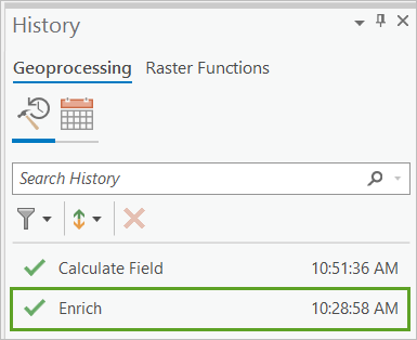 Enrich tool in geoprocessing history