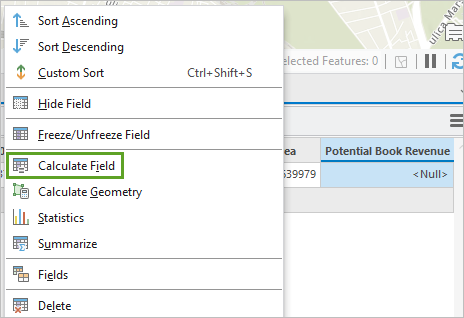 Calculate Field option