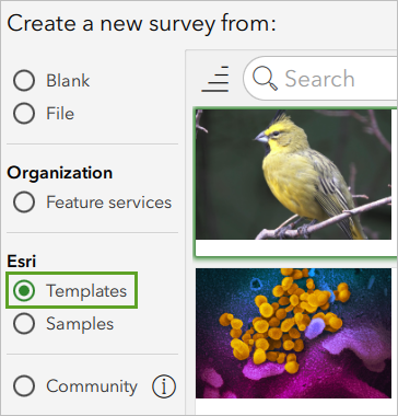 Templates option for new survey form