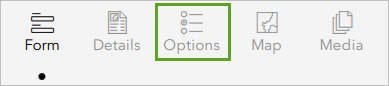 Options tab