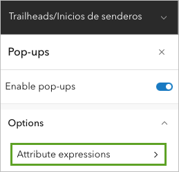 Attribute expressions button