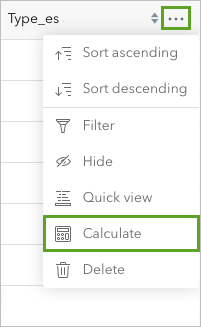 Calculate option for the Type_es field