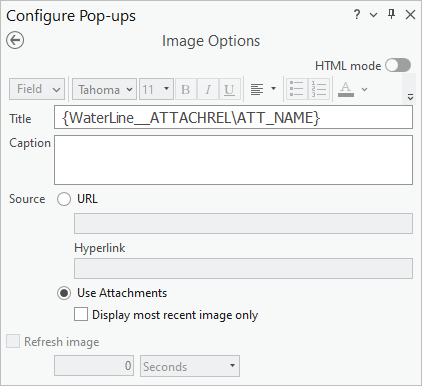 Image Options in the Configure Pop-ups pane