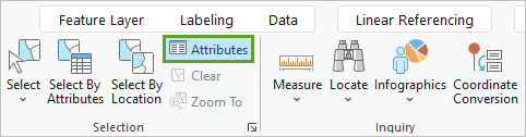 Attributes button on the ribbon