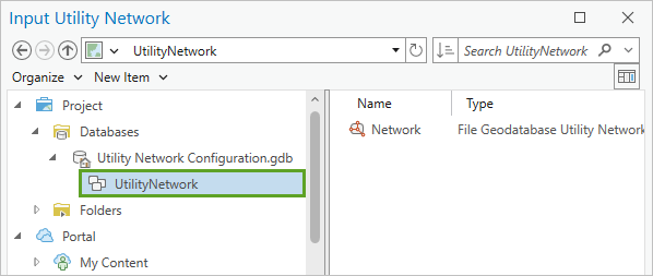 Utility Network in the Input Utility Network window