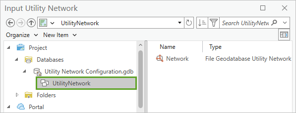 Utility Network in the Input Utility Network window