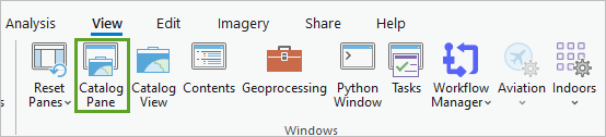Catalog Pane in the Windows group on the View tab