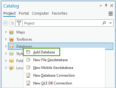 Add Database on the Project tab in the Catalog pane