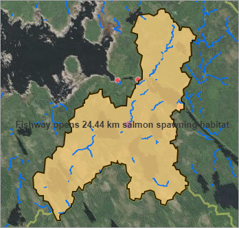 Unformatted label in map