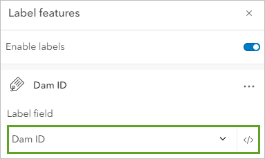 Label features pane with Dam ID selected for Label field