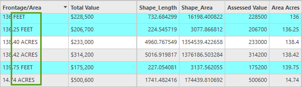 FEET values selected in the attribute table