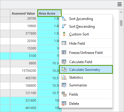 Calculate Geometry in the field's context menu