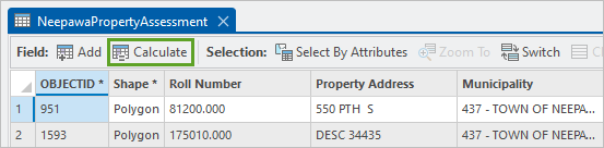 convert-text-data-to-numeric-data-learn-arcgis