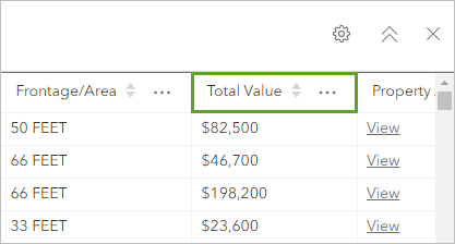 Total Value field in the table