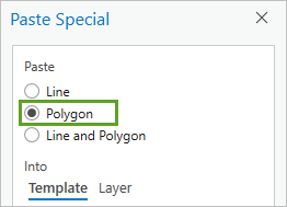 Polygon option in the Paste Special window