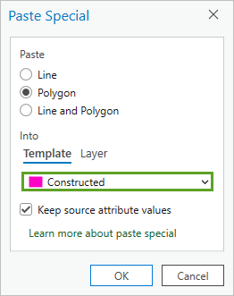 Template option in the Paste Special window