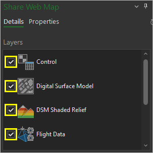 Share Web Map pane with layers selected